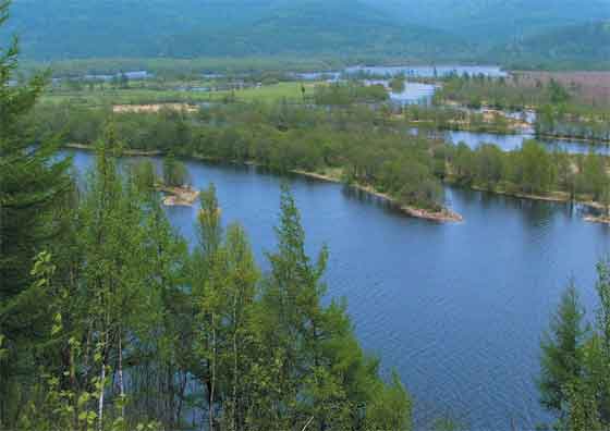 река Тумнин
