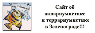 Сайт об аквариумистике и террариумистике