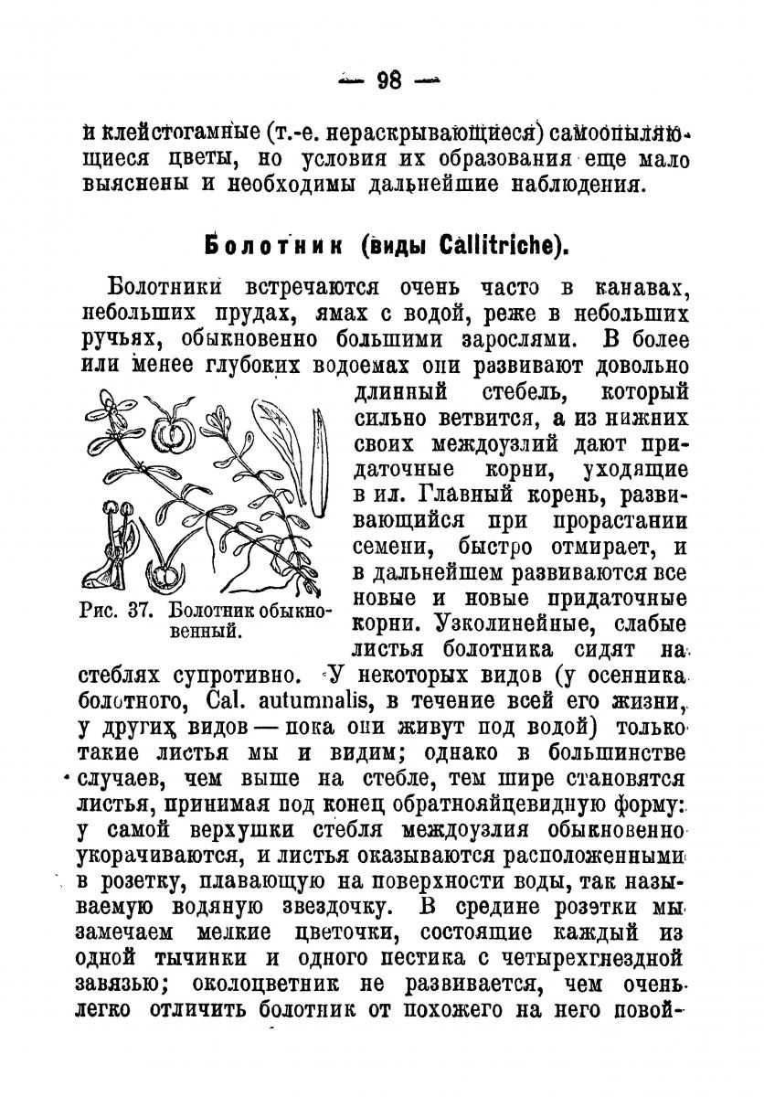 биология водных растений