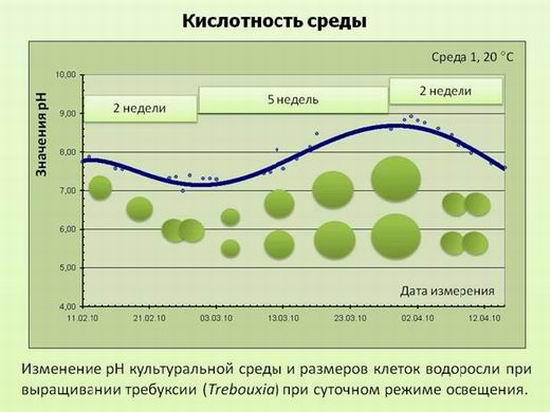 кислотность