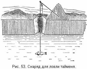 Снаряд для ловли тайменя