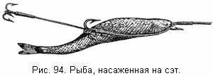 Рыба, насаженная на сэт