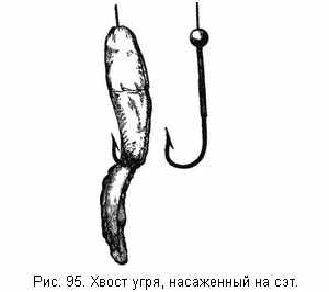 Хвост угря, насаженный на сэт