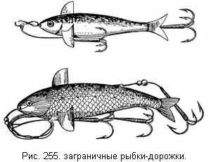 Заграничные рыбки-дорожки